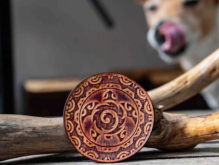 Leather Round Patch Tribal Turtle